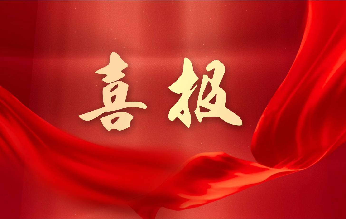 營收凈利雙增長！依頓電子2025年一季度經(jīng)營業(yè)績續(xù)寫高質(zhì)量發(fā)展華章
